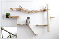 Cat sitting on the Natural Bamboo Expedition Cat Condo with Natural Canvas and Paracord roping upgrade shown in the corner