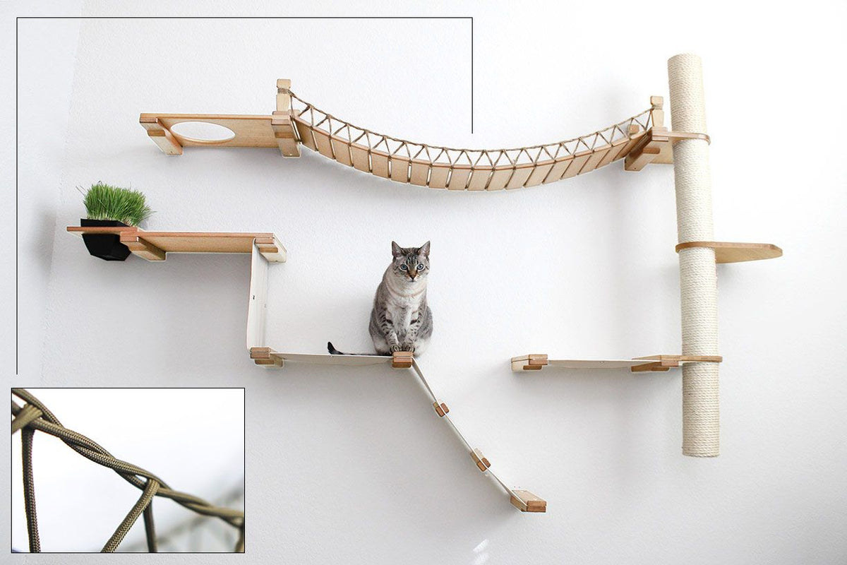 Cat sitting on the Natural Bamboo Expedition Cat Condo with Natural Canvas and Paracord roping upgrade shown in the corner