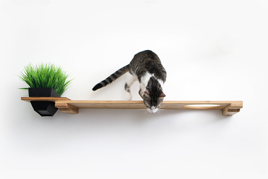 Cat jumping down from a Natural Bamboo 34" Shelf with Escape Hatch and Planter Attachment. 