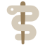 Category Icon