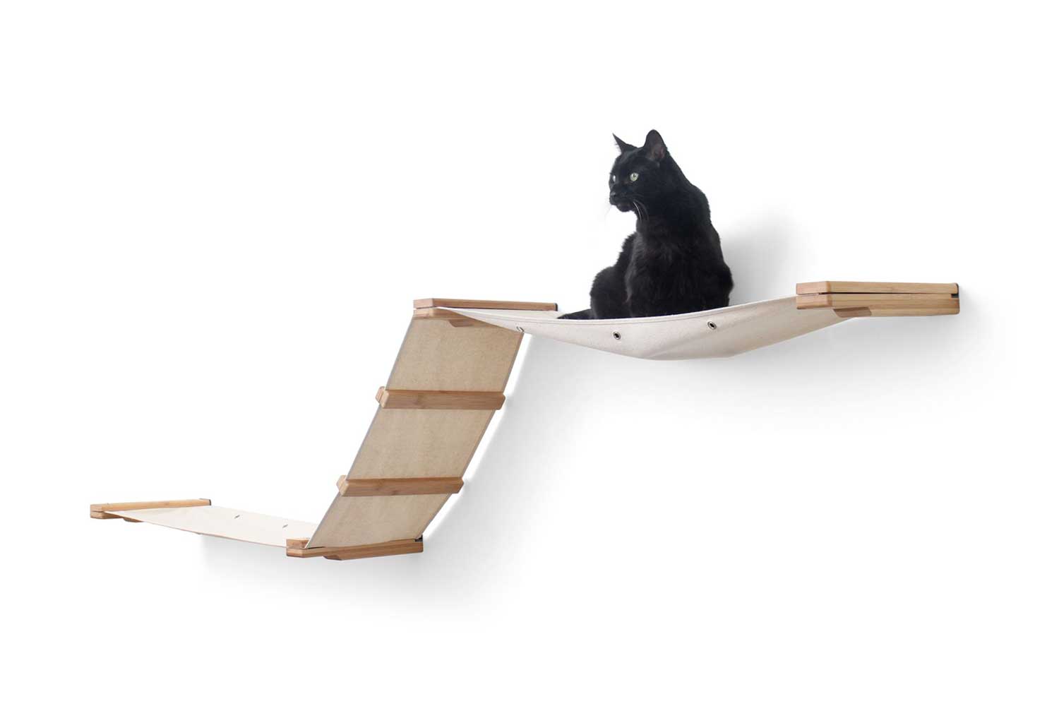 cat sitting on deluxe raceway