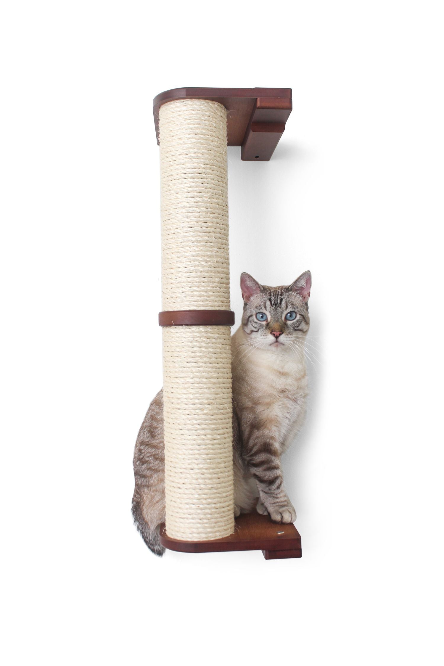 This photo displays our cat sitting at the bottom of a Sisal Pole. This two tier Sisal Pole is in English Chestnut, a dark brown stain.