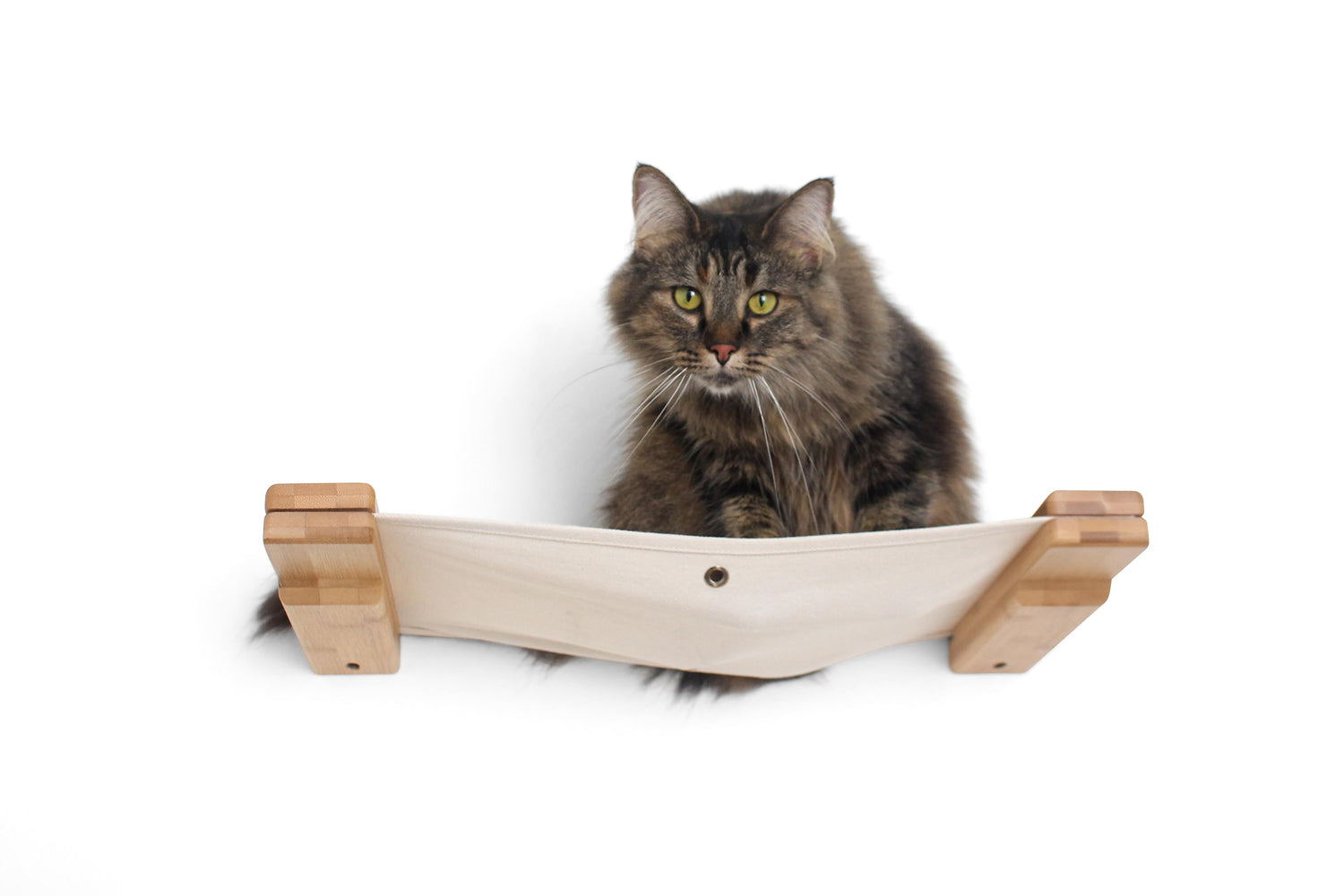 Wall deals cat hammock
