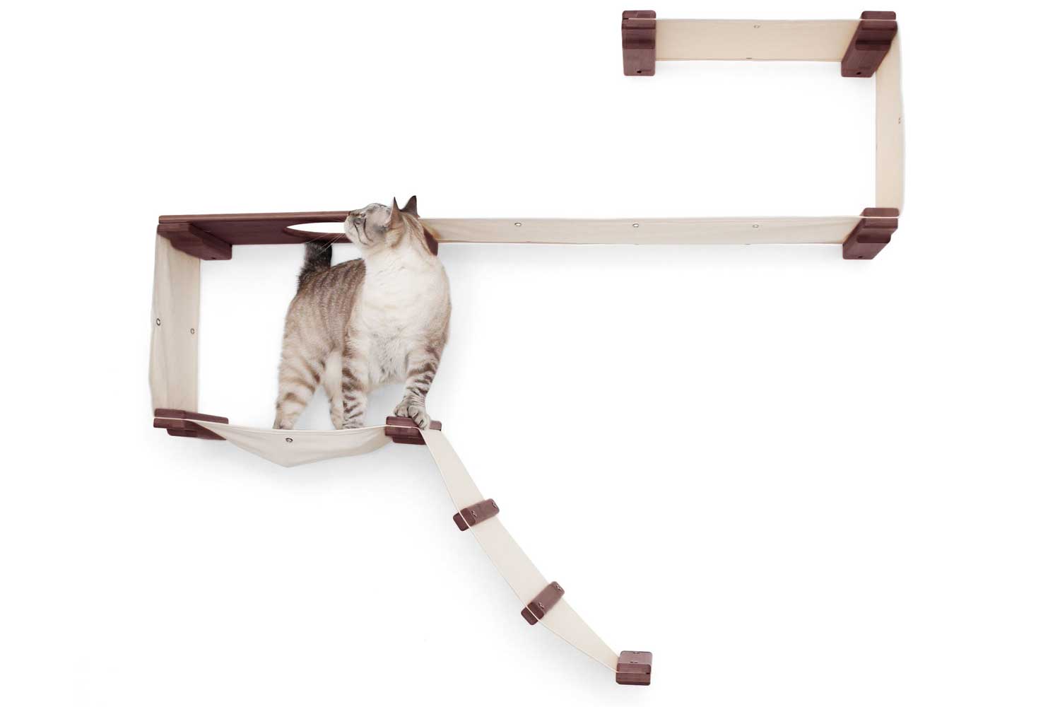 Cat Condo - Download