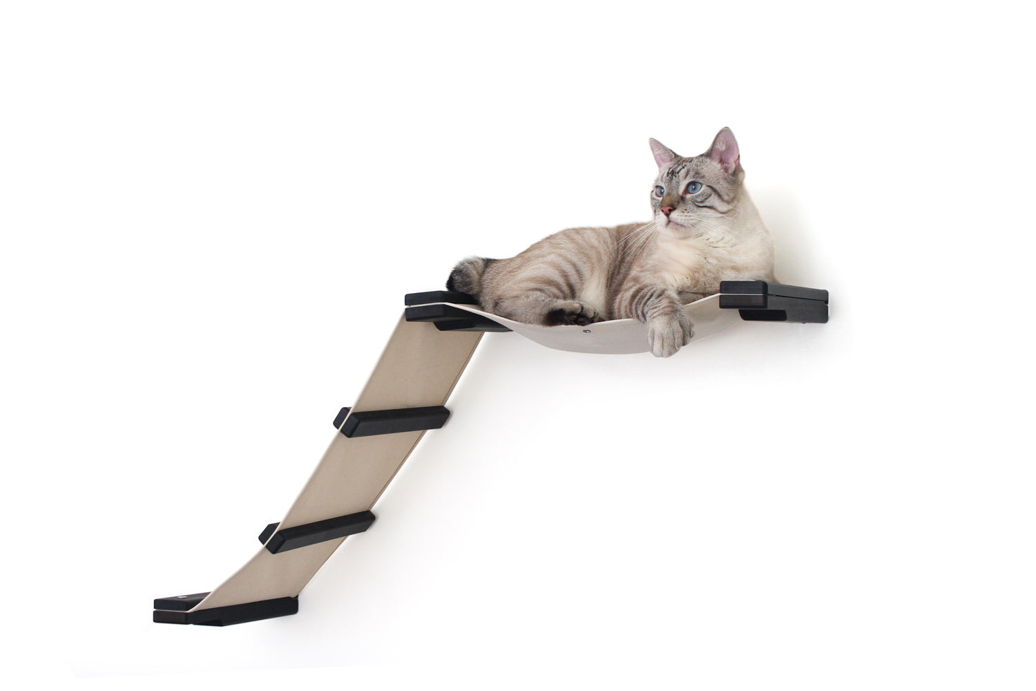 This photo displays our cat lounging on the Lift. This image shows the Lift in Onyx, a black stain, and has Natural fabric, a light tan color.