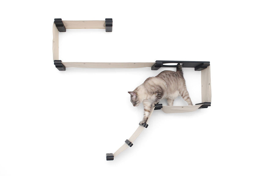 This photo displays our cat climbing down the ladder of the Play complex. This complex is in Onyx, a black stain, and has Natural fabric, a light tan color.