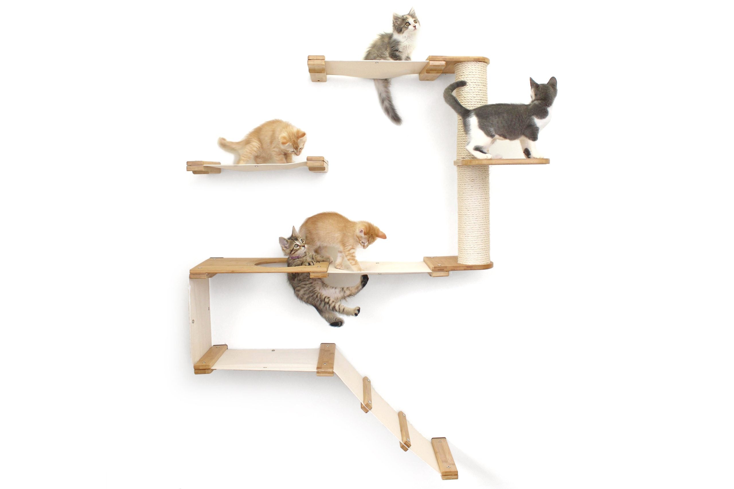 Five kittens playing on Deluxe Cat Fort With Leaf Shelf
