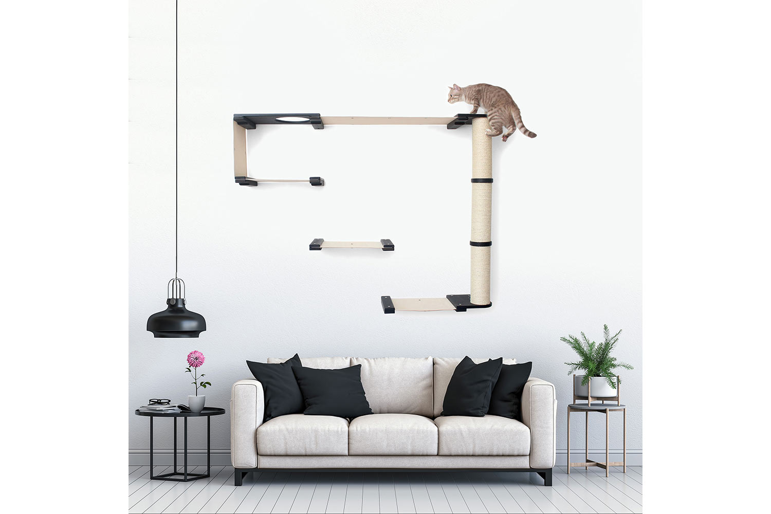 cat climbing on furniture