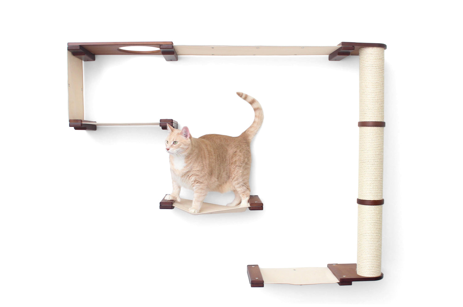 This photo displays our cat on the Climb complex. The image shows the complex in English Chestnut, a dark brown stain, with Natural fabric, a light tan color.