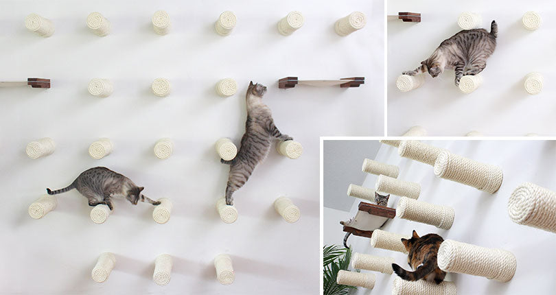 cats playing on wall of floating scratching posts
