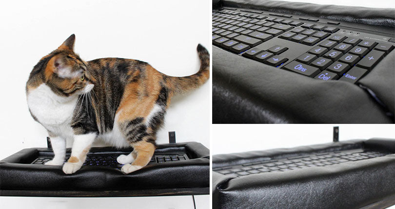 photo collage of cat sitting on wall mounted keyboard cat bed