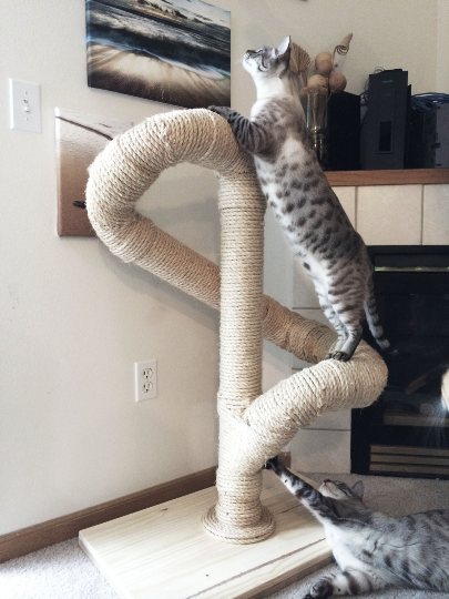 Sisal Cat Tree ⋆ Catastrophic Creations