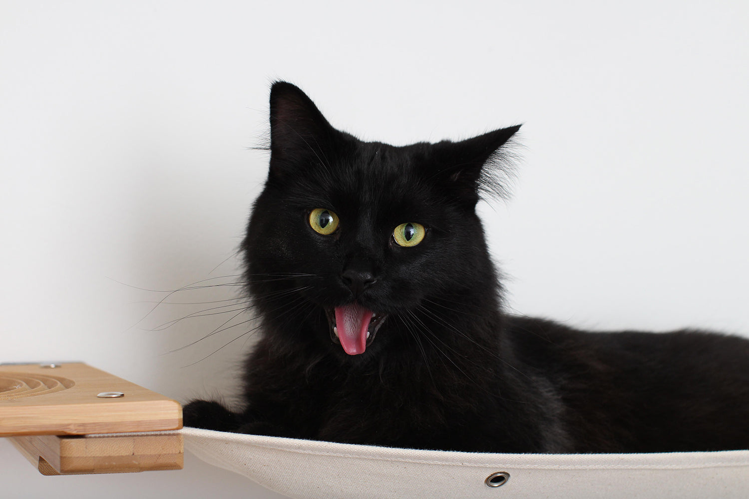 This photo is a close up of a cat sticking their tongue out while relaxing on the Deluxe Cat Maze.