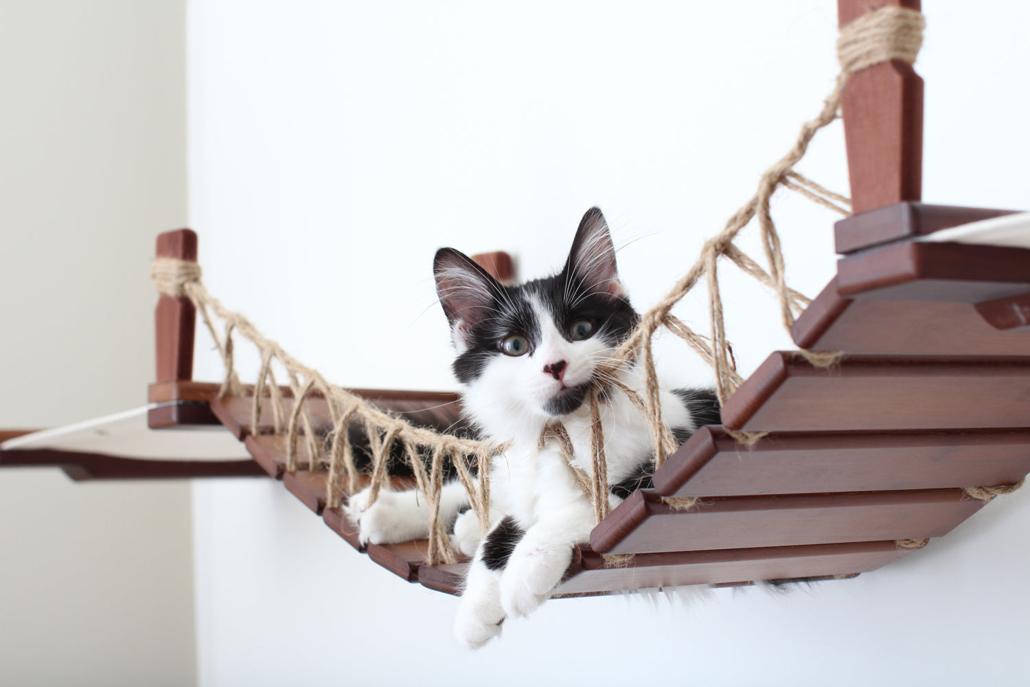Cat Wall Furniture  Cat Ramp  Cat Furniture  Play Furniture  Cat Toys  Pet Toys  Feline Furniture  Cat Climber  Perch