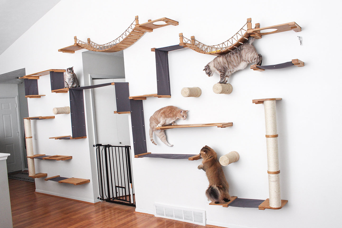 diy cat wall steps