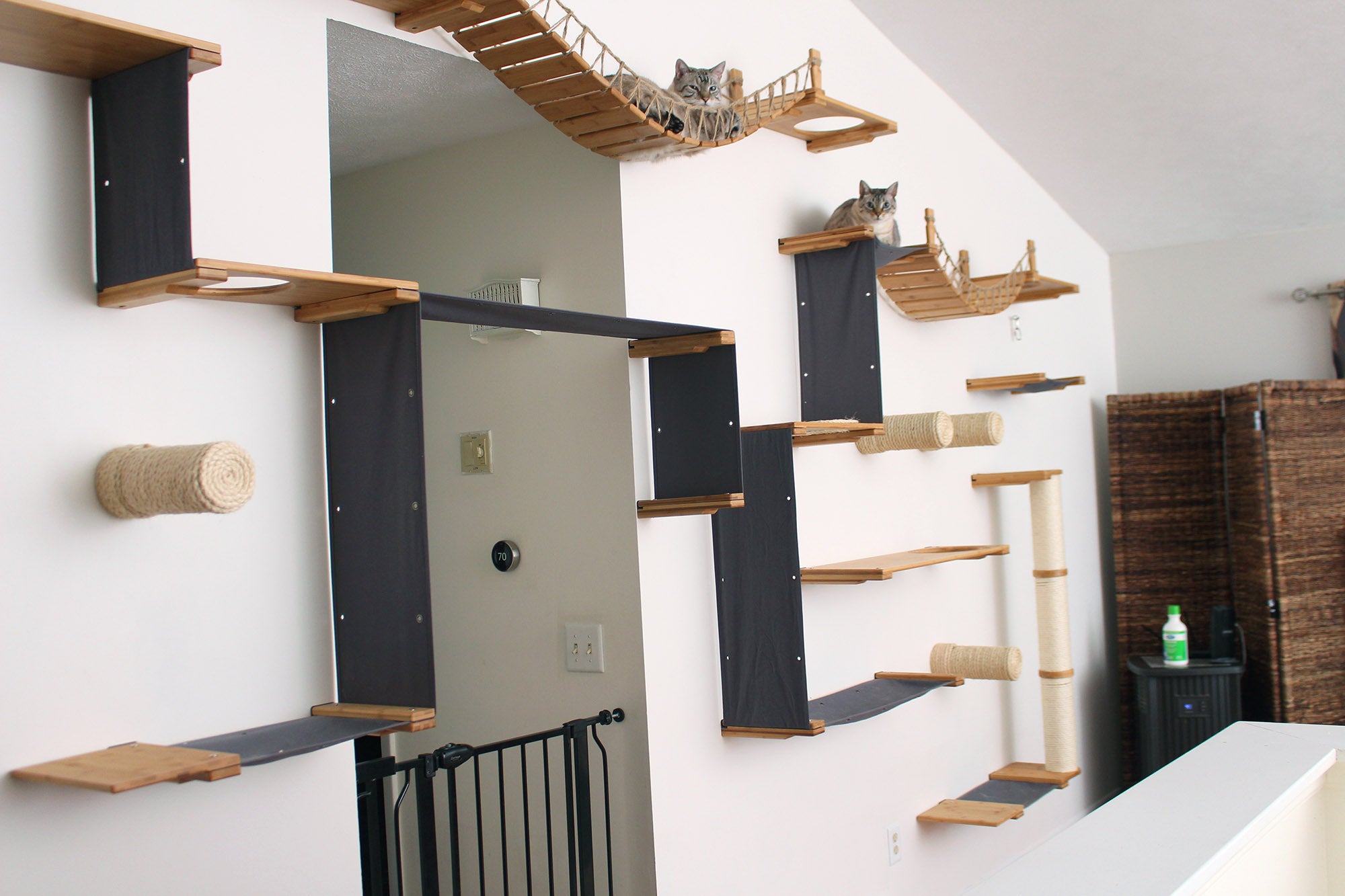 diy cat wall steps