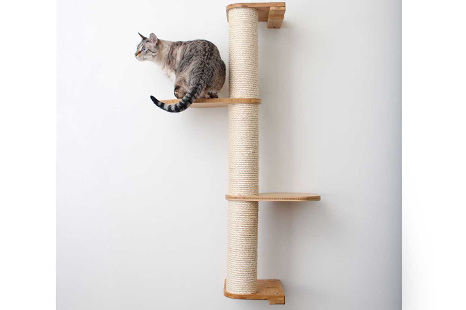 This photo displays our cat climbing a three tier Sisal Pole that has two additional Leaf Connectors. The Sisal Pole and Leaf Connectors shown are in Natural, a light brown stain.