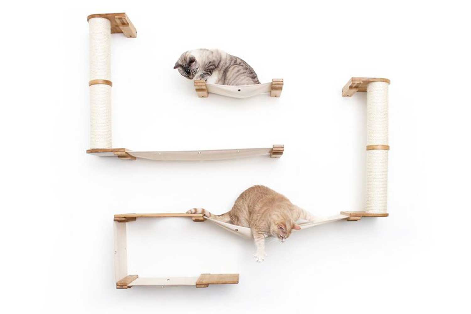 Cat Condo - Download