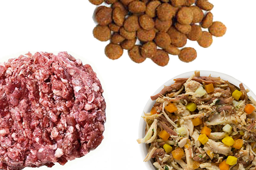 Three different types of cat food: dry, raw, and grain-free wet