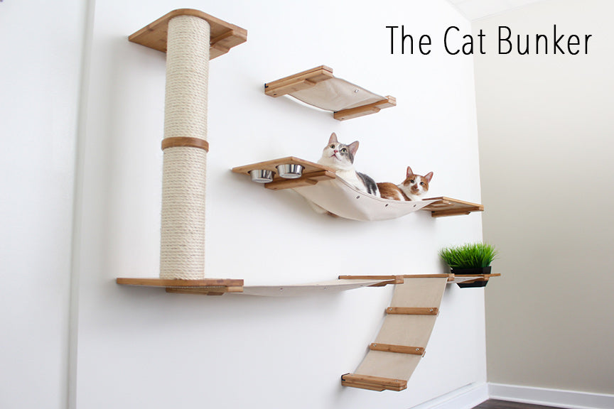 The Cat Bunker cat wall complex