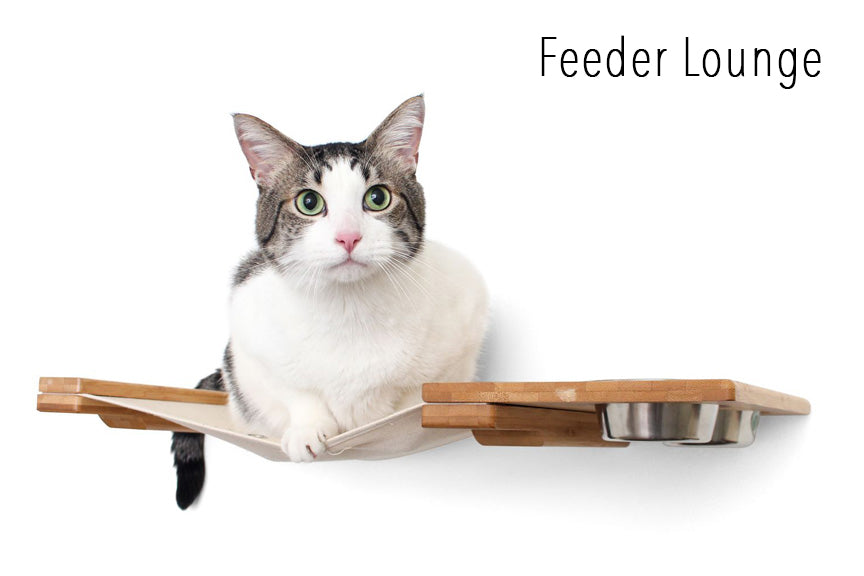 Feeder Lounge cat hammock plus feeder