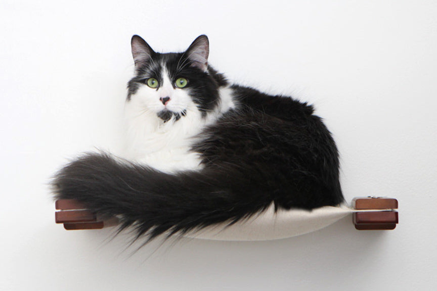 cat on cloud pillow hammock