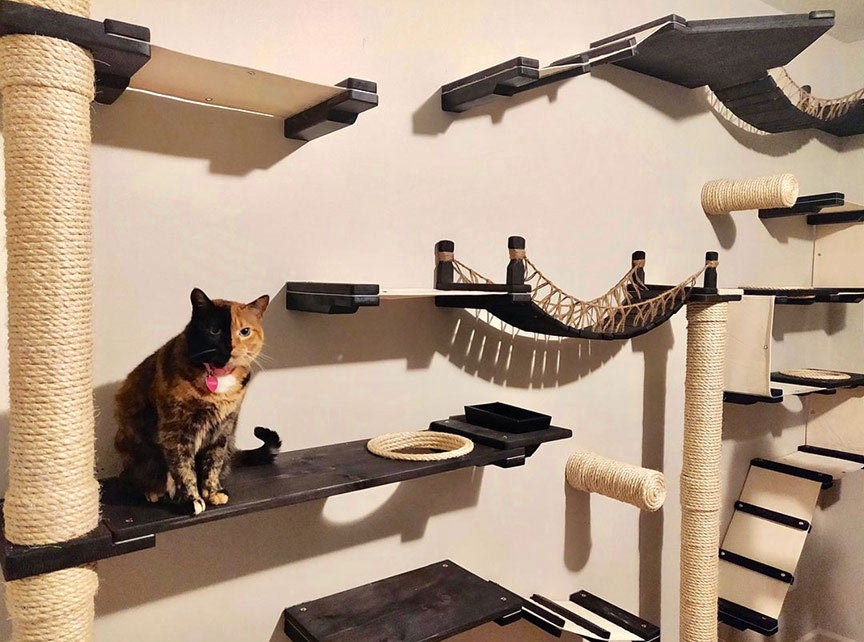 Modern Cat Furniture, Affordable Cat Shelves
