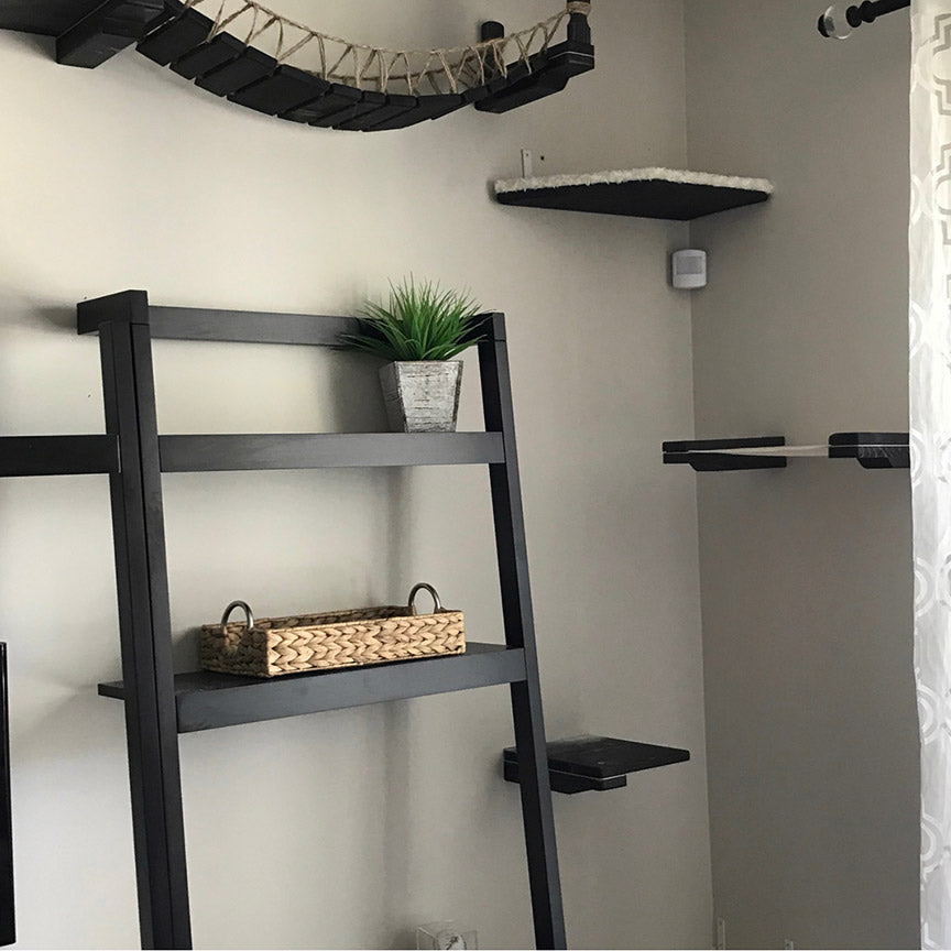 wall mounted cat furniture