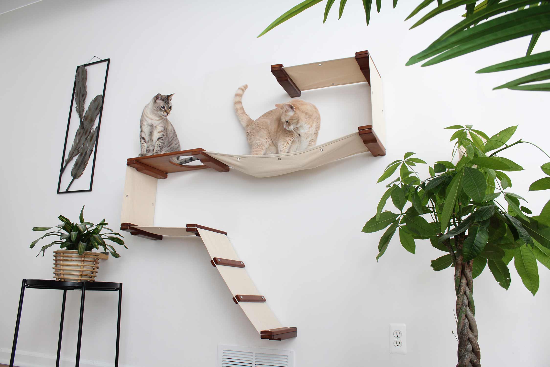 cat playing on cat furniture