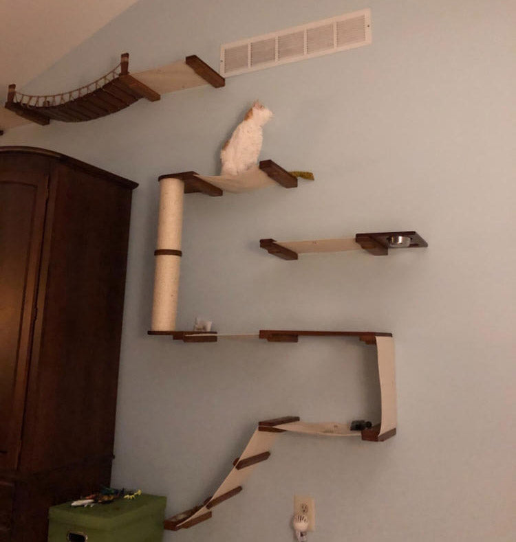 最旬ダウン CatastrophiCreations Cat Maze Set Handcrafted Wall Mounted Tree  Shelv