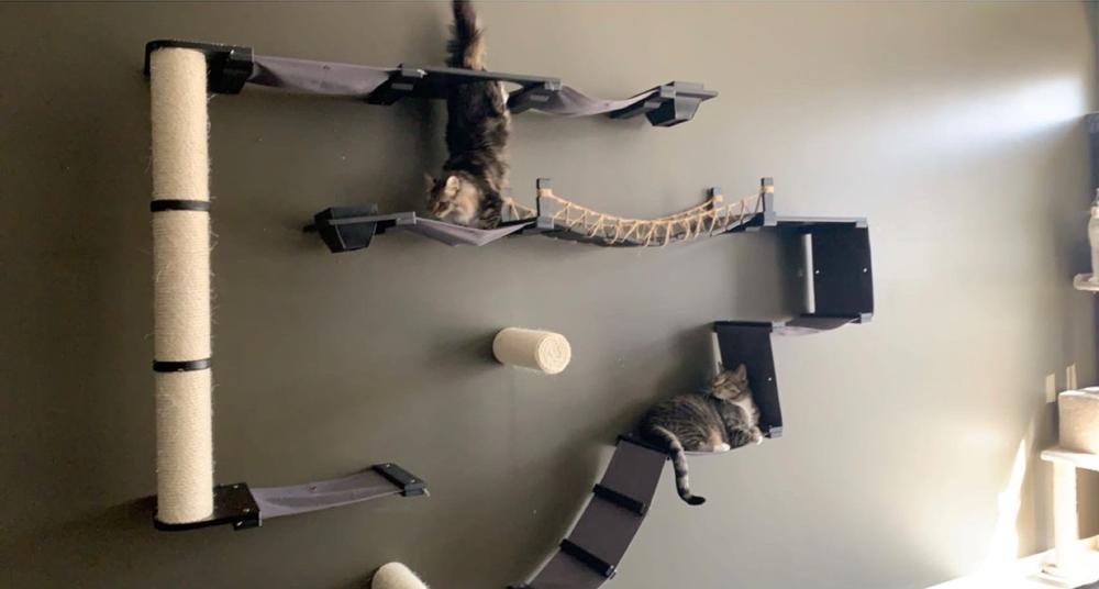 Modern Cat Furniture, Cool Cat Wall Shelves