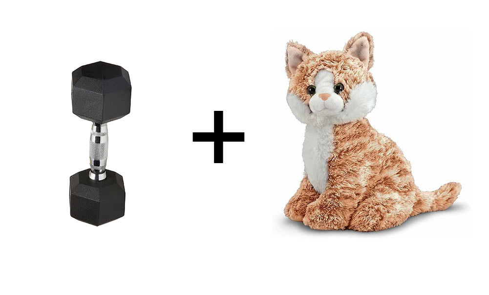 weight and kitty