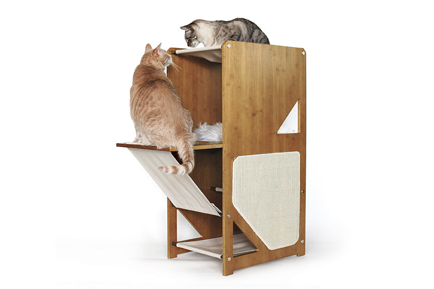 cats playing on Overlook cat tree