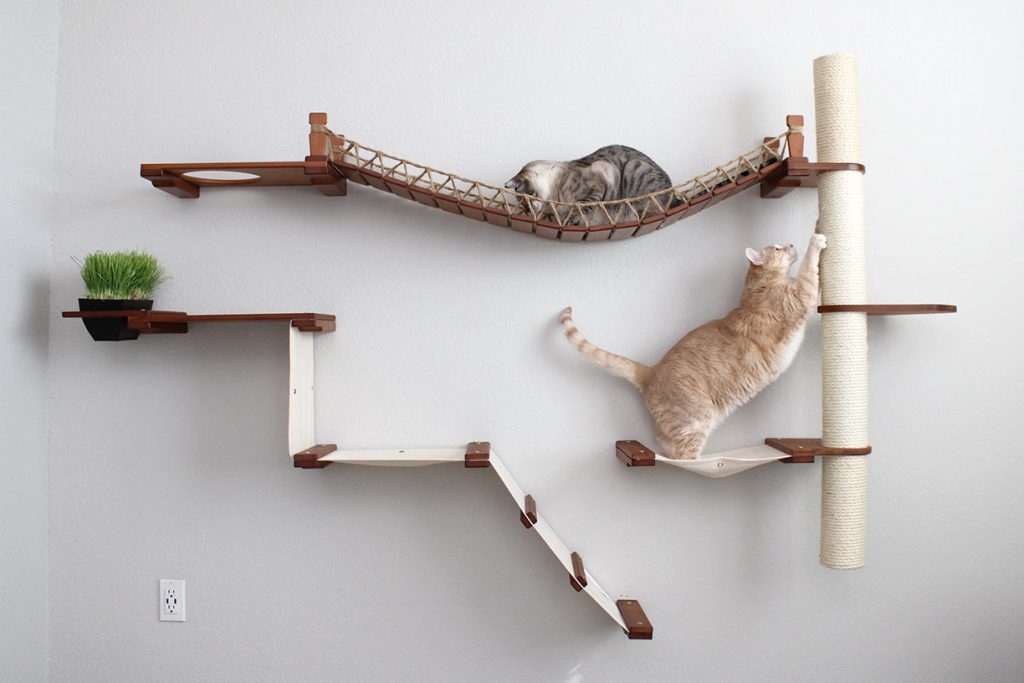 cats stretching on furniture