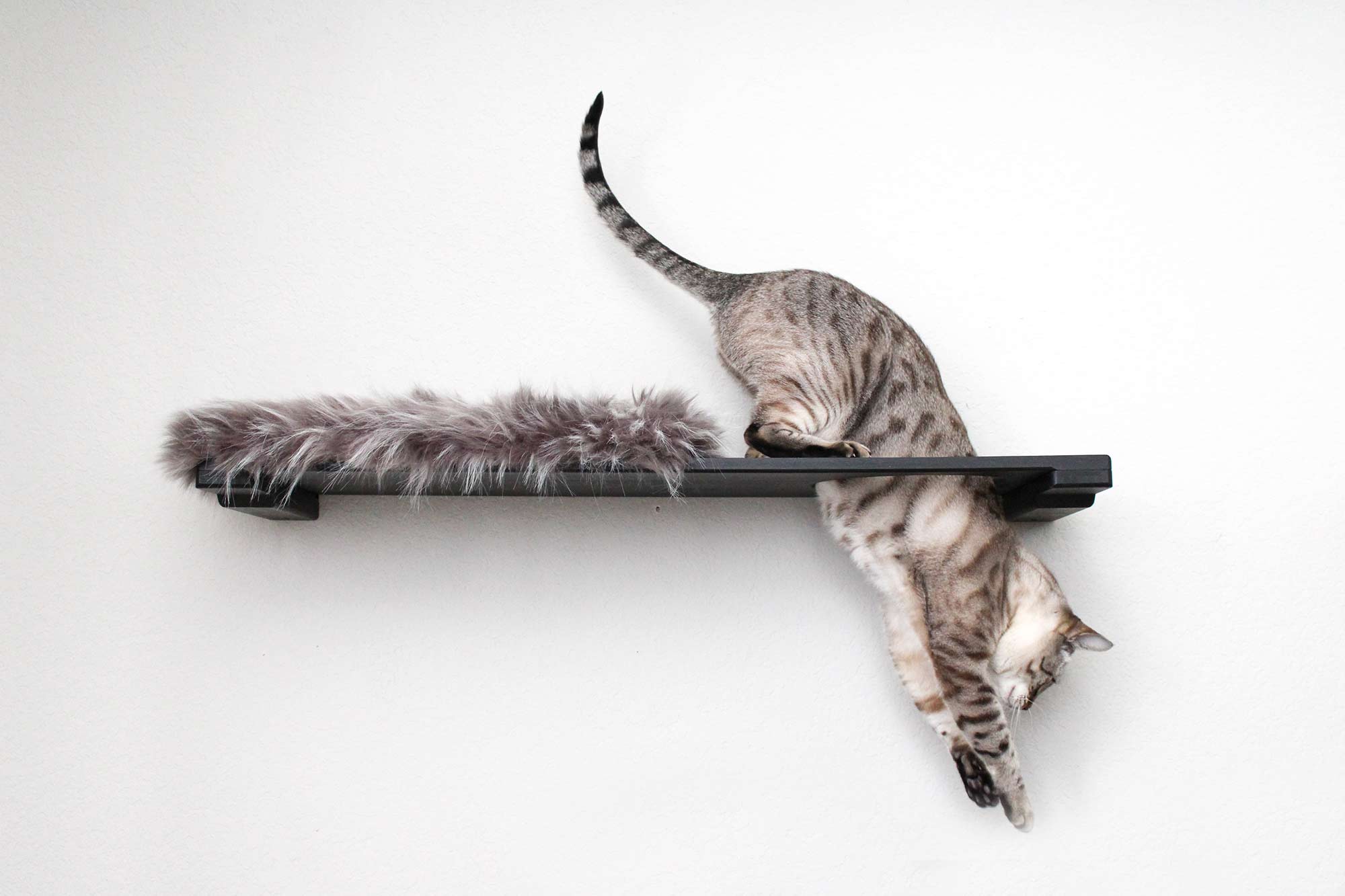 cat sitting on 34 Inch escape hatch with plush bed