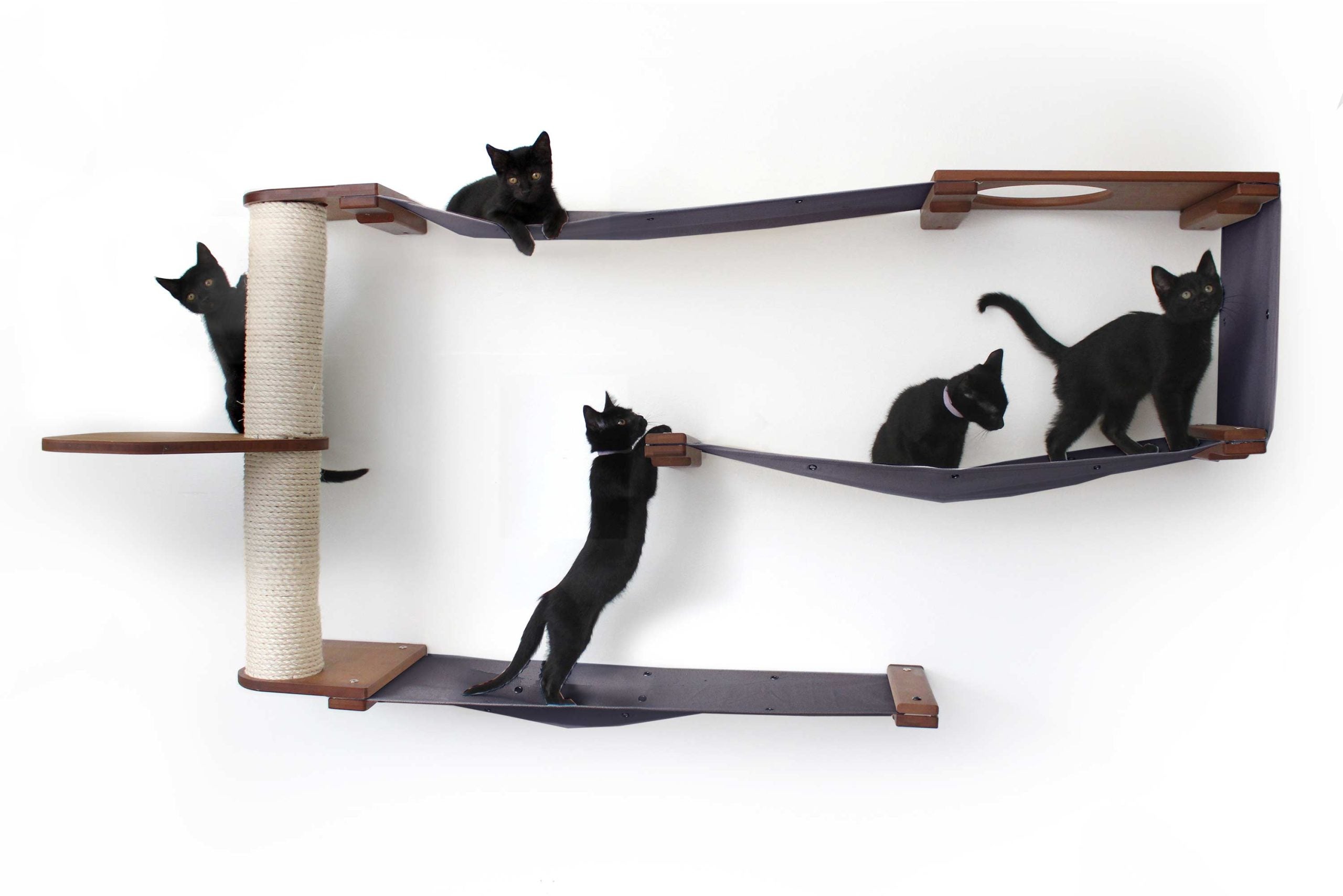 Cats playing on the English Chestnut/Charcoal Deluxe Maze with Leaf Shelf