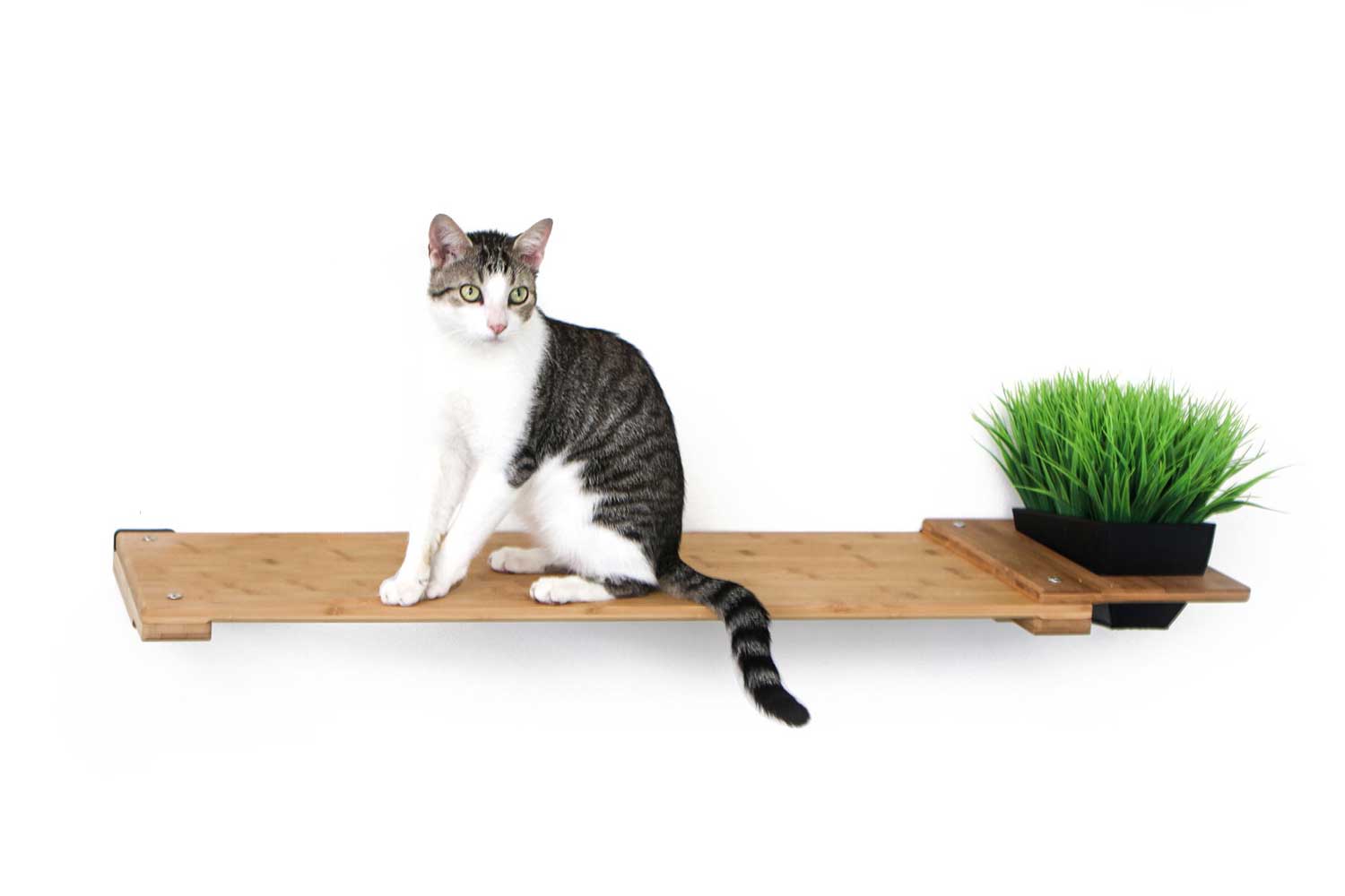 Cat sitting on 41 Inch Planter Shelf in Natural bamboo