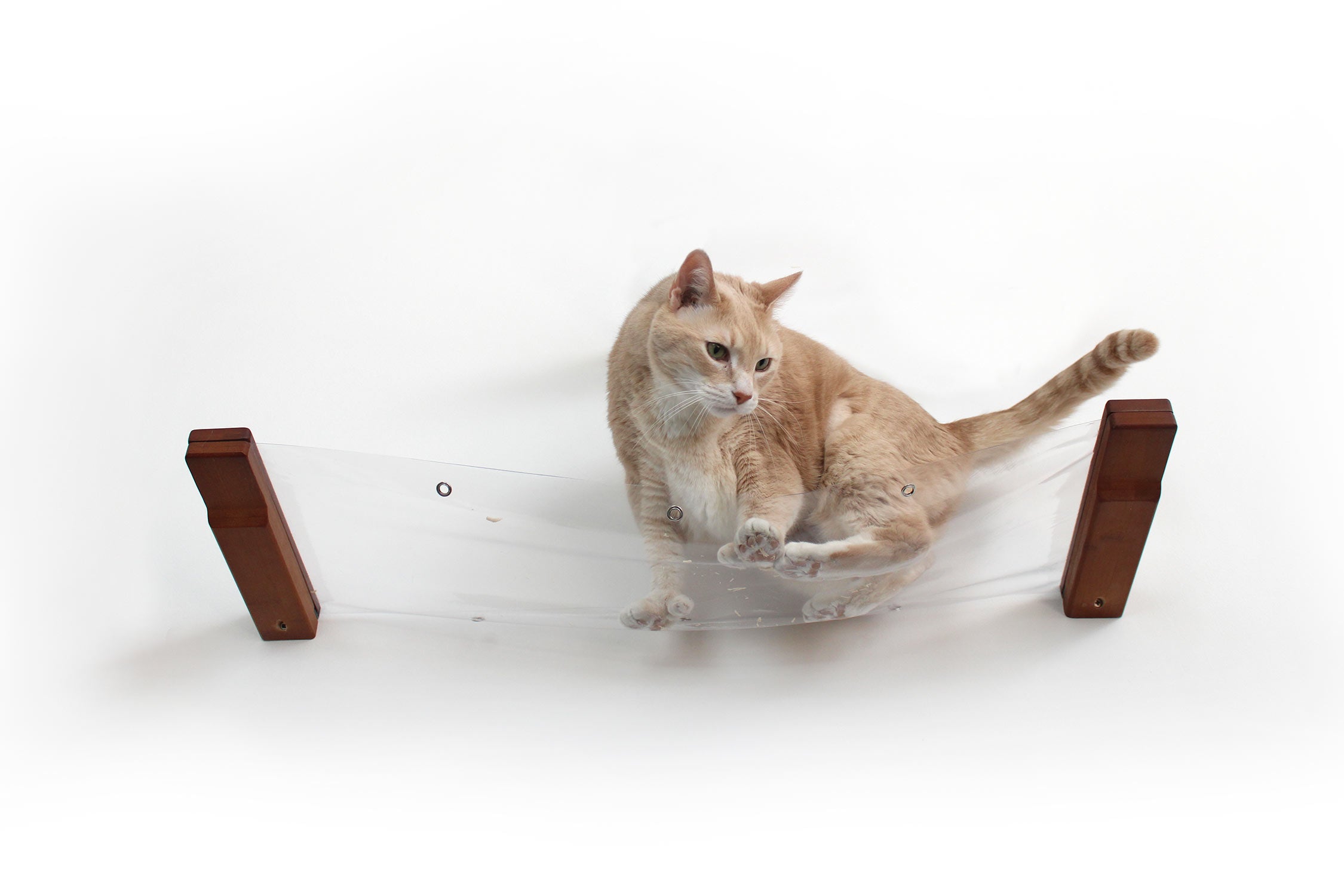 Cat standing on 34 IN Invisible Cat Hammock with English Chestnut bamboo finish