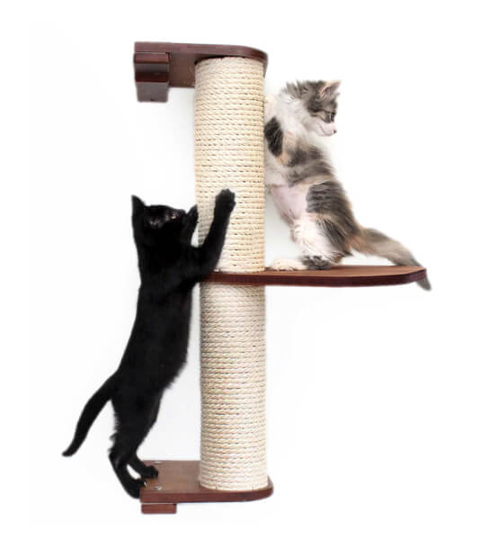 Cat Condo on the App Store